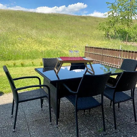 Brulaire Buesingen Am Hochrhein Apartment Exterior photo