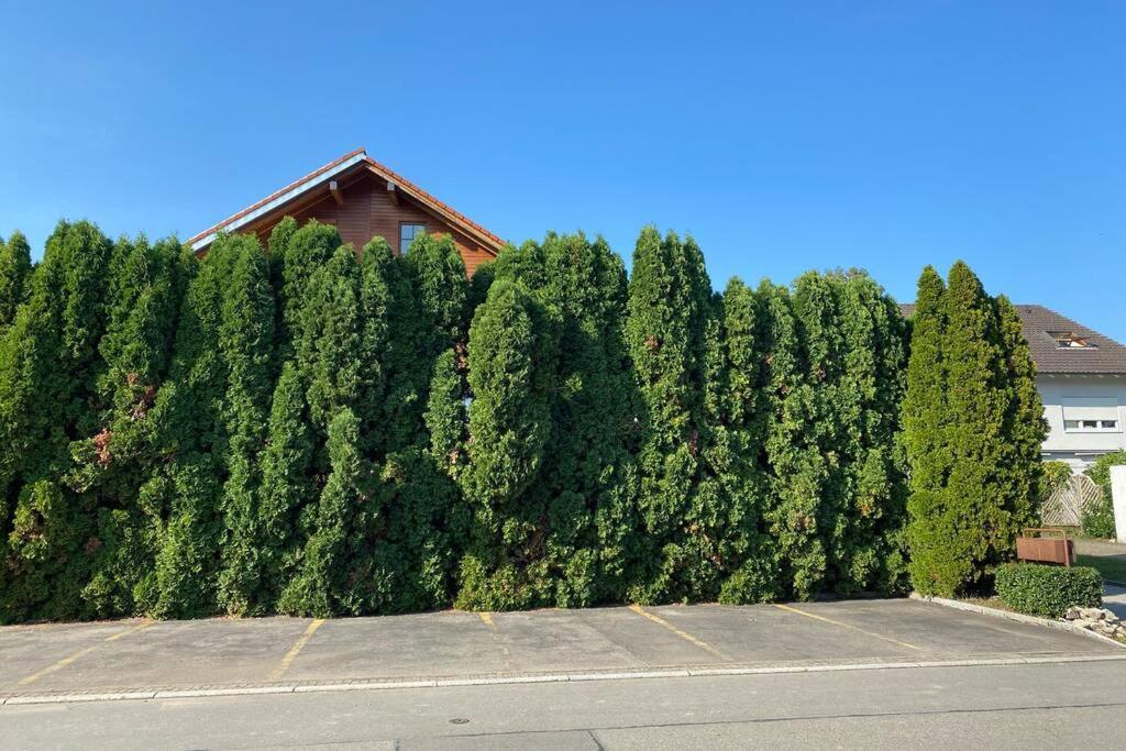 Brulaire Appartamento Busingen am Hochrhein